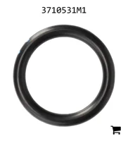 AGCO 3710531M1 Уплотнительное кольцо корпуса оси