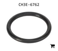 AGCO CH3E-6762 Уплотнительное кольцо