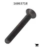 AGCO 16063718 Винт