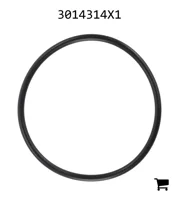 AGCO 3014314X1 Уплотнительное кольцо