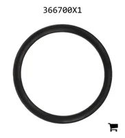 AGCO 366700X1 Опорное кольцо