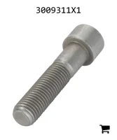 AGCO 3009311X1 Винт с цилиндрической головкой и шестигранным углублением