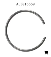 AGCO AL5016669 Кольцо