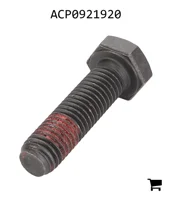 AGCO ACP0921920 Винт