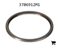 AGCO 3706912M1 Шайба