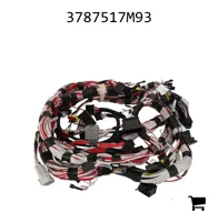 AGCO 3787517M93 Жгут