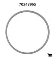 AGCO 70248065 Кольцо