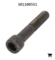AGCO 3011005X1 Винт с цилиндрической головкой и шестигранным углублением