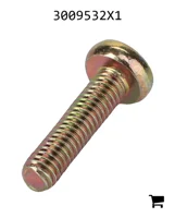 AGCO 3009532X1 Винт с полукруглой головкой