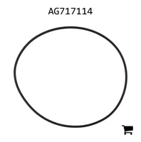 AGCO AG717114 Уплотнительное кольцо