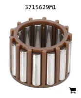 AGCO 3715629M1 Игольчатый подшипник