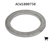 AGCO ACW1800750 Шайба