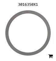 AGCO 3016350X1 Регулировочная шайба