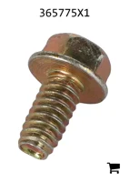 AGCO 365775X1 Винт
