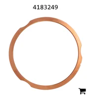 AGCO 4183249 Кольцо