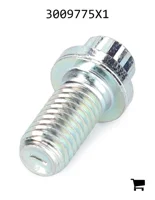 AGCO 3009775X1 Винт с 12-гранной фланцевой головкой