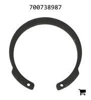 AGCO 700738987 Стопорное кольцо