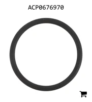 AGCO ACP0676970 Уплотнительное кольцо