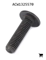AGCO ACW1325570 Винт с полукруглой головкой
