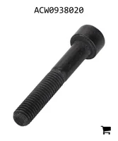 AGCO ACW0938020 Установочный винт с шестигранной головкой