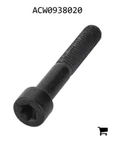 AGCO ACW0938020 Установочный винт с шестигранной головкой