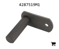 AGCO 4287519M1 Палец вилки