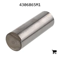 AGCO 4306865M1 Вал планетарной оси