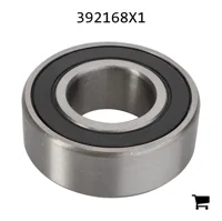 AGCO 392168X1 Шариковый подшипник