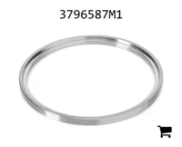 AGCO 3796587M1 Шайба
