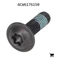 AGCO ACW6176150 Винт с головкой Torx