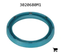 AGCO 3020680M1 Прокладка