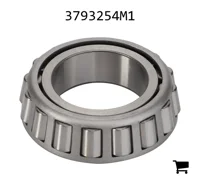 AGCO 3793254M1 Конус