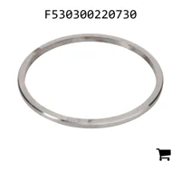 AGCO F530300220730 Шайба