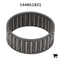 AGCO 1440618X1 Игольчатый подшипник