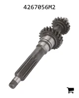 AGCO 4267056M2 Шестерня