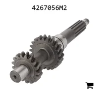 AGCO 4267056M2 Шестерня