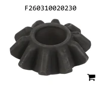 AGCO F260310020230 Шестерня дифференциала