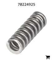 AGCO 70224925 Пружина