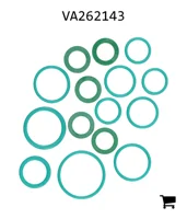 AGCO VA262143 Комплект уплотнений