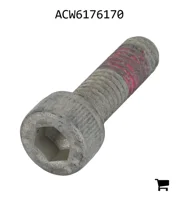 AGCO ACW6176170 Винт с цилиндрической головкой и шестигранным углублением
