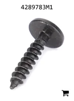 AGCO 4289783M1 Винт