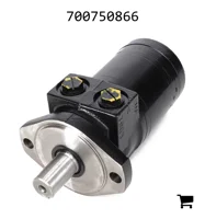 AGCO 700750866 Гидромотор