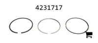 AGCO 4231717 Комплект колец