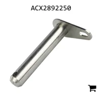 AGCO ACX2892250 Палец