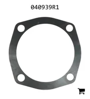 AGCO 040939R1 Шайба