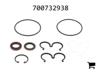 AGCO 700732938 Ремкомплект