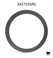 AGCO 3427191M1 Шайба