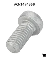 AGCO ACW1494350 Установочный винт с шестигранной головкой