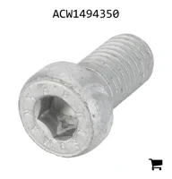 AGCO ACW1494350 Установочный винт с шестигранной головкой