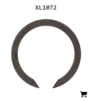 AGCO XL1072 Кольцо